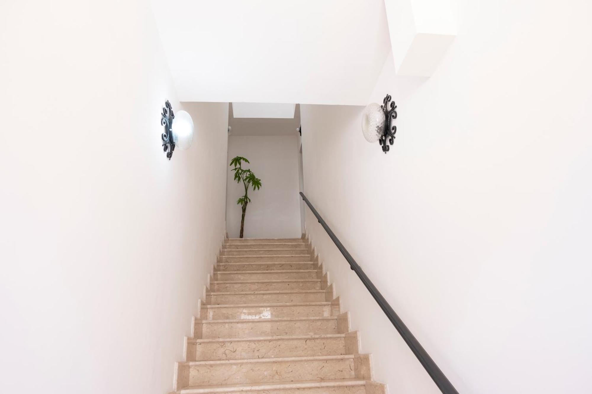 Casa Pachira Con Vista Mare Daire San Vito Lo Capo Dış mekan fotoğraf